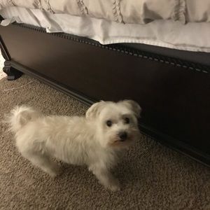 Meet your Posher, Jenna